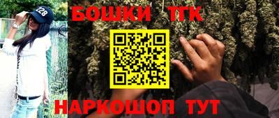 гашик Заводоуковск