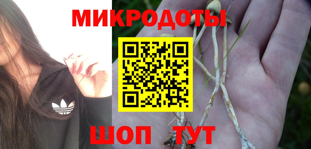 Галлюциногенные грибы Cubensis  Вход с VPN  Лабинск 